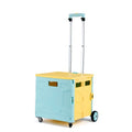 Small Tesco Design Foldable Supermarket Shop Folding Luggage Shopping Trolley Cart Bag with Wheel Caster
