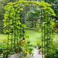 Steel Garden Arch Climbing Plants Flower Vine Support 120x240CM Rot Proof Wedding Party Decoration