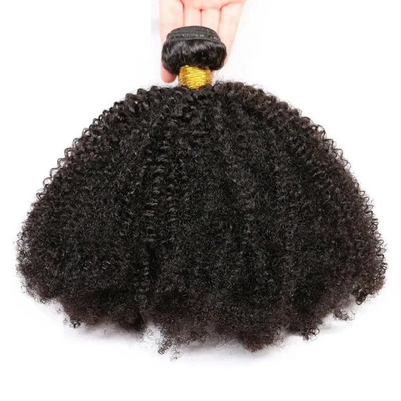 Shaggy Hair Natural Color Afro Kinky Cuticle Aligned Virgin Mink Brazilian Virgin Human Hair Bundles Vendor Weave Bundles