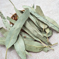 Bulk 100% Natural Chinese Herb Dried Eucalyptus Leaves With Cheap Price