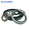 Standard Sizes Rubber Motorcycle NBR FKM Oilseal Oil Seal TC