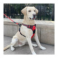 Maychan Custom Logo Outdoor Reflective Pet Vest Harness Leash Set Soft Mesh Padding Adjustable Dog Harness with Handle