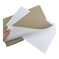 Chinese Factory Hot Selling Duplex Board 200gsm-400gsm Custom Size Grey Back for Printing in Roll or in Sheet