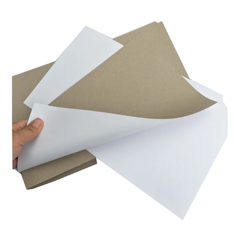 Chinese Factory Hot Selling Duplex Board 200gsm-400gsm Custom Size Grey Back for Printing in Roll or in Sheet