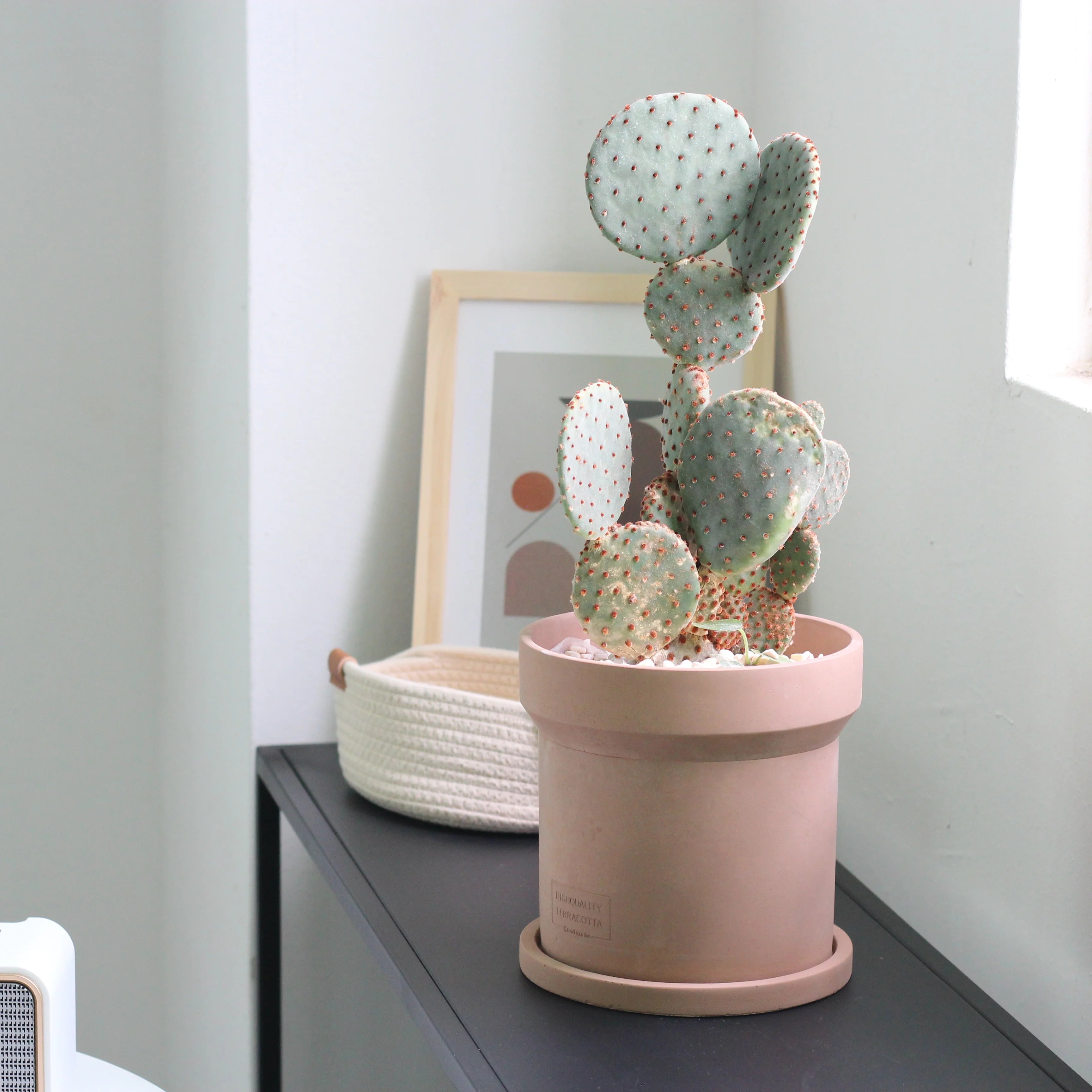 Modern Style Round Shape Cement Planter Pot with Saucer for Home Garden Decor