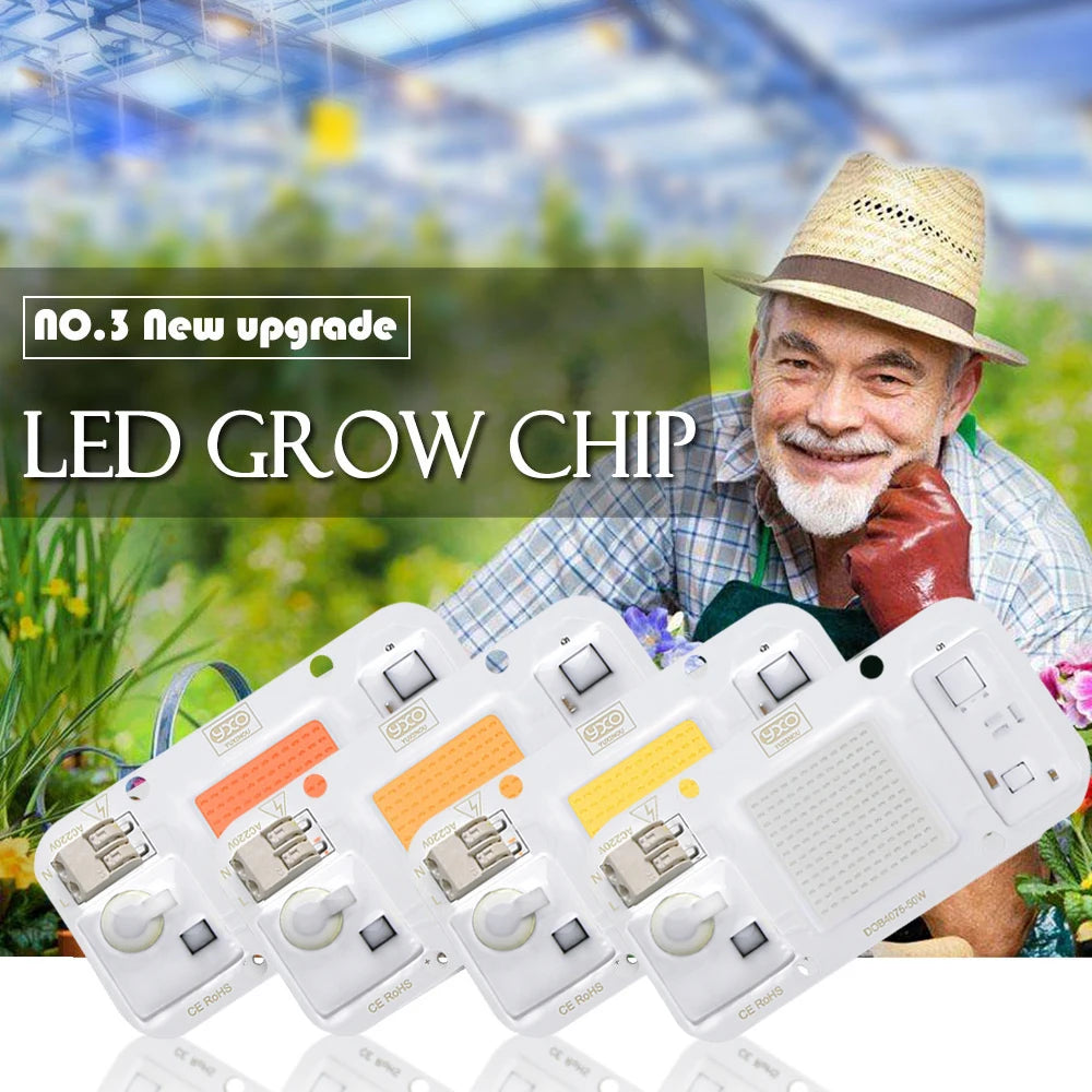 China Manufacture Quantity Decorative AC Led Grow Chip Full Spectrum COB Led Chip for Strip Light Board