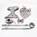 2022 New Arrival Custom Designers Adjustable No Pull Pet Dog Vest Harness Set Wholesale Pet Supplies