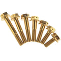 Titanium Gold Bolts Motorcycle M8 Gr5