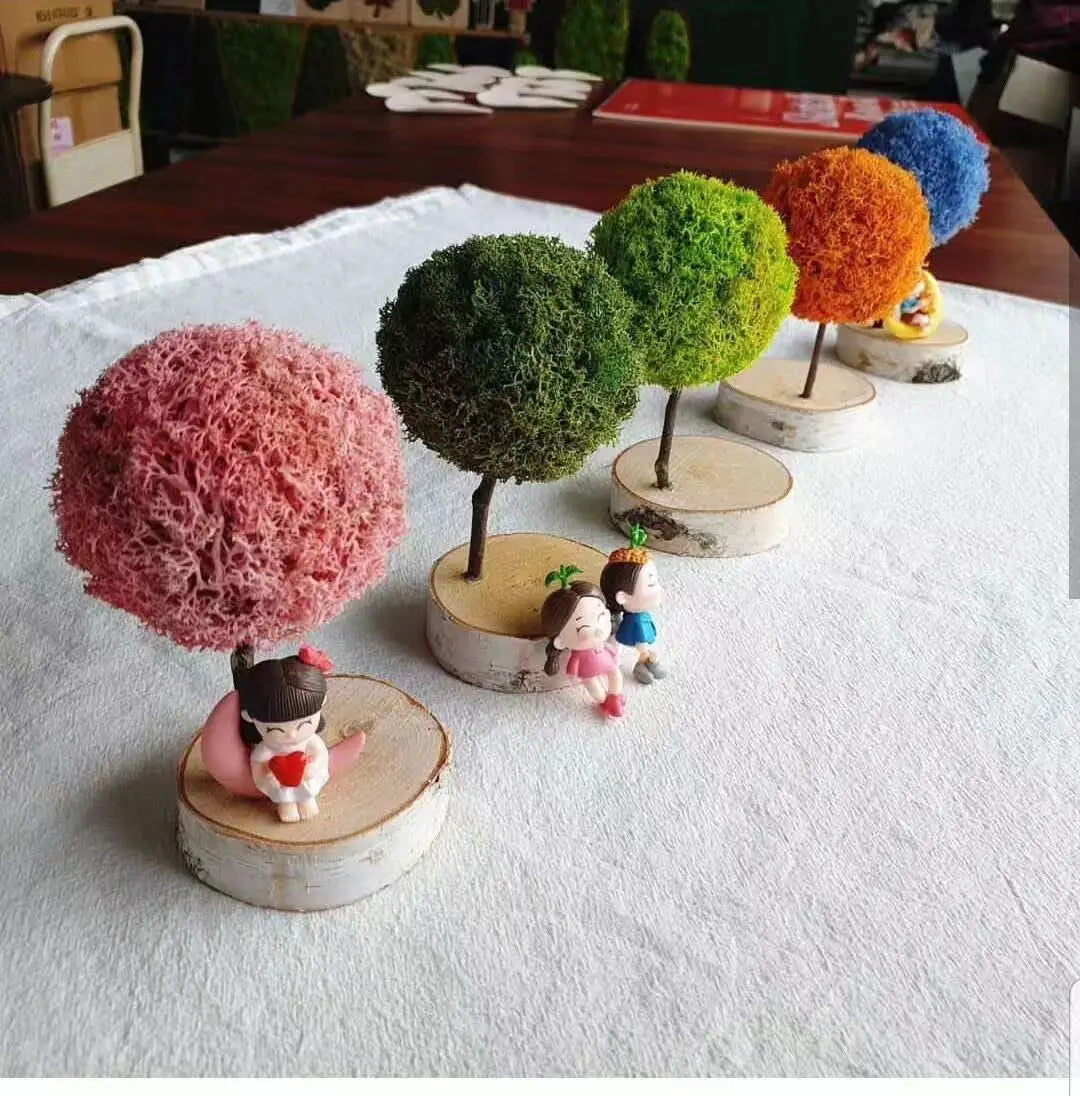 Wholesale Handmade Long-Lasting Preserved Real Natural Moss Ball Long-Lasting Preserved Flowers Plants Christmas Mother's Day