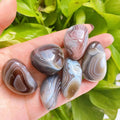 Wholesale Crystal Crafts Polish Baswana Agate Tumbled Healing Stones for Decoration