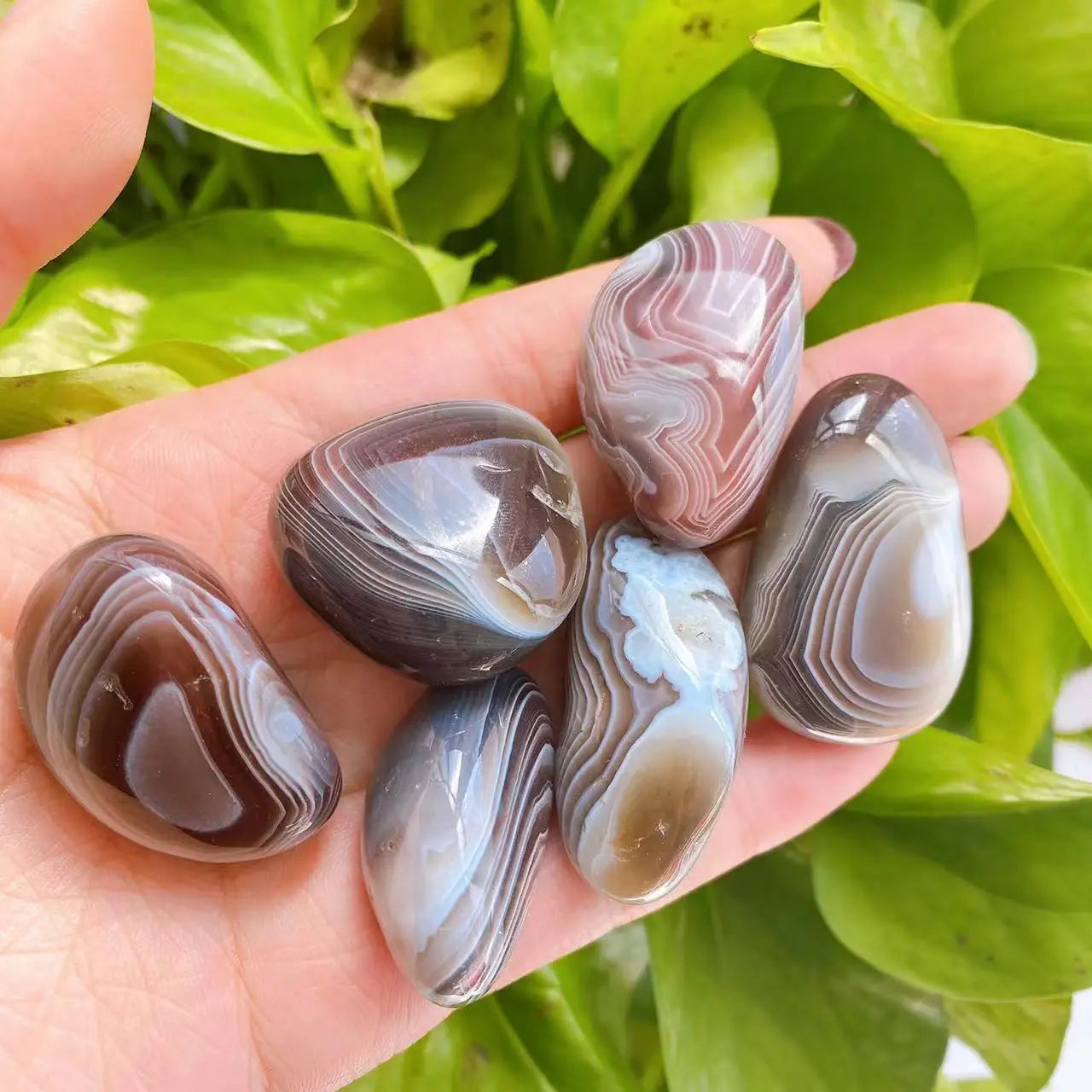 Wholesale Crystal Crafts Polish Baswana Agate Tumbled Healing Stones for Decoration