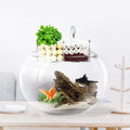 Acrylic External Hanging Water Purifier for Fish Tank Plastic Aquarium External Filter Box Accessory