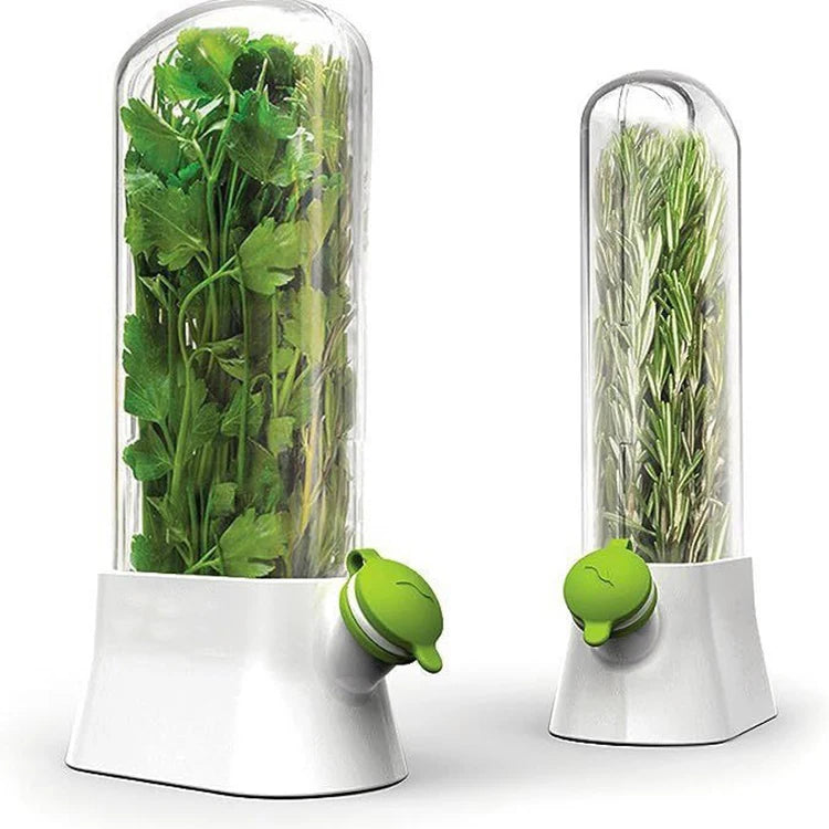 Hot Selling Large Capacity Herb Keeper Saver Fresh Keeper Plastic Containers for Herbs Refrigerator Fruits MegaBDM
