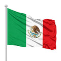 Factory Wholesale 100% Polyester Flying Flag Election Promotion Knitted 3*5FT Mexican Waterproof Flag