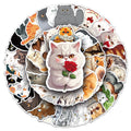 50PCS Funny Animal Persian Cartoon Cute Kitty Pet Lovely Cat Sticker