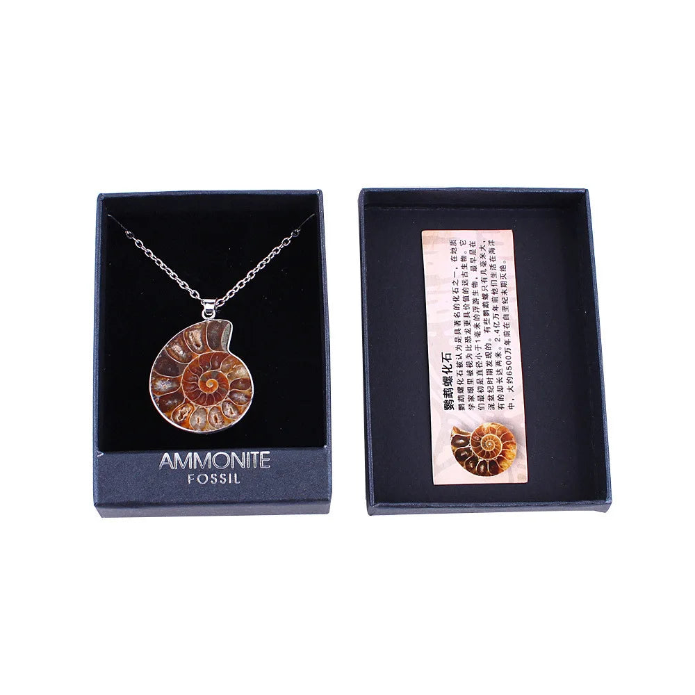 Natural Stone Pendant Ammonite Specimenl Conch Animal Silver Tone Wrapped Pendant Necklace Chains