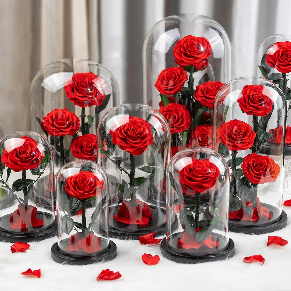 L961 New Wholesale Gift Forever Long Lasting Preserved Roses Flowers With Dome Glass