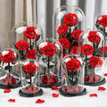 AM-PFA01 Ammy Red Preserved Wedding Favor Eternal Rose in Glass Cover Christmas Wedding Decorations and Other Gifts
