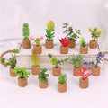 Professional Manufacturer White Ceramic Potted Succulents Artificial Home 16 Pieces Cactus House Office Personal