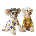 Dog Clothing Autumn and Winter Clothing Fashion Sweater Cute Small and Medium-sized Dog Two-legged Pet Clothing
