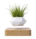 Wholesale Price HCNT Hot Sale Electric Powered Indoor Magnetic Levitating Plant Pot ABS Material CE/ROHS Certified Novelty Style