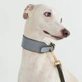 Premium Luxury Wide Cowhide Dog Collar with Personalized Fur Decoration Small Animal Use Sun Flower Design