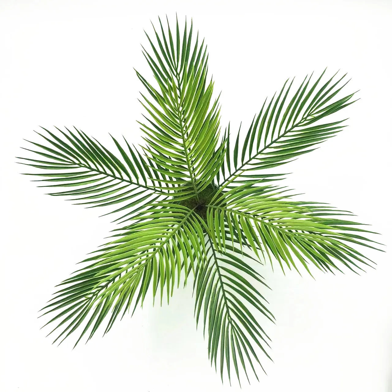 Tropical Artificial Areca Palm Tree Large Silk Palm Leaves Branch PVC Material Real Touch Nature Graduation Home Decoration