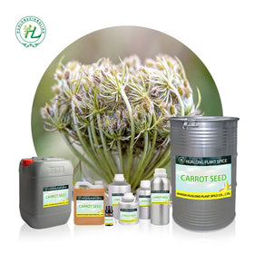 Carrot Seed Essential Oil for Skin - 100% Pure Natural Plant Extract Steam Distilled Premium Grade| Bulk Price 1kg
