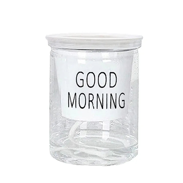 China Cheaper Clear Self Watering Planters Plastic Plant Pots for Indoor Outdoor