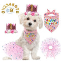 Wholesale Hot Selling Dog Birthday SET Decoration