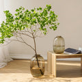 New Large Belly Transparent Glass Vase Hydroponic Hoary Willow Floor Vase Home Decoration