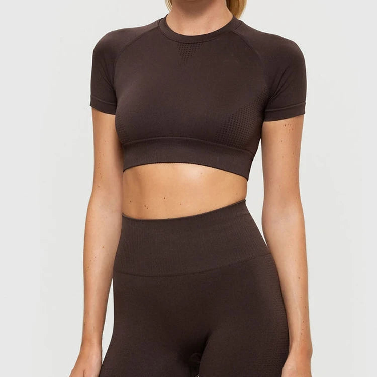 Made in China Low MOQ Custom Logo Short Sleeve Crop Top Seamless Women Workout Gym T-Shirts Wear