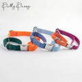 Adjustable Waterproof Pvc Training Dog Collar Webbing Martingale Double Ring Custom Color Dog Collar