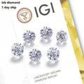 IGI 0.3ct 0.5ct DEF White Round Brilliant Loose Lab Grown Diamond VS1 VVS2 VVS1 Polished Diamond Loose Hpht for Luxury Jewelry