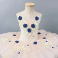 Girls' High-end Purple Ballet Dance Dress Costume Children's Little Swan Tulle Tutu Tutu Skirt Swan Lake Stage Wear