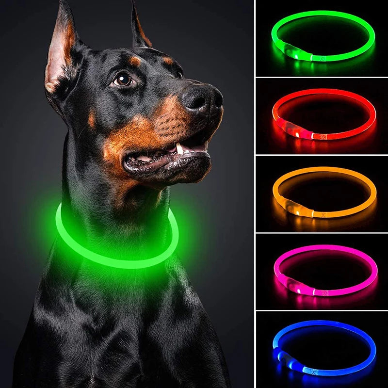 SN Model YW-22111-1 USB Rechargeable LED Dog Collar Solid TPU Feather Decoration Water Resistant Light-Up Safety Pet Collar New