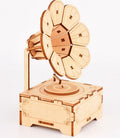 Puzzle Model Phonograph Clockwork Music Box Wood 3D Stereo Puzzle