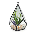 Modern Indoor Home Decor Flower Pot Geometric Polygon Glass Terrarium for Succulent Fern Air Plant Metal