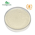 Wholesale 100% Gold Standard Whey Protein Powder Bulk Supplements Raw Material