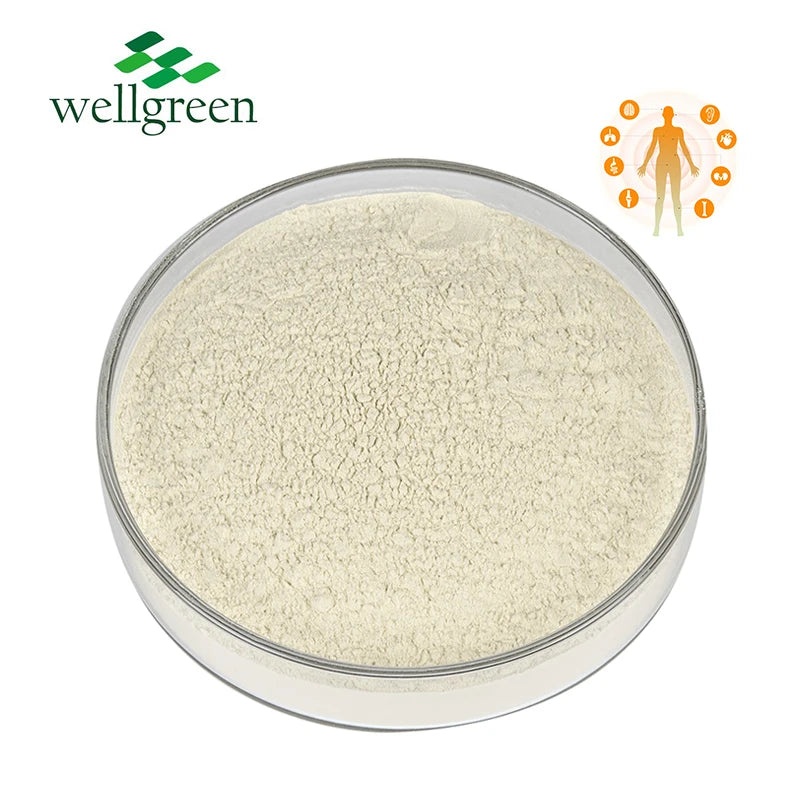 Wholesale 100% Gold Standard Whey Protein Powder Bulk Supplements Raw Material