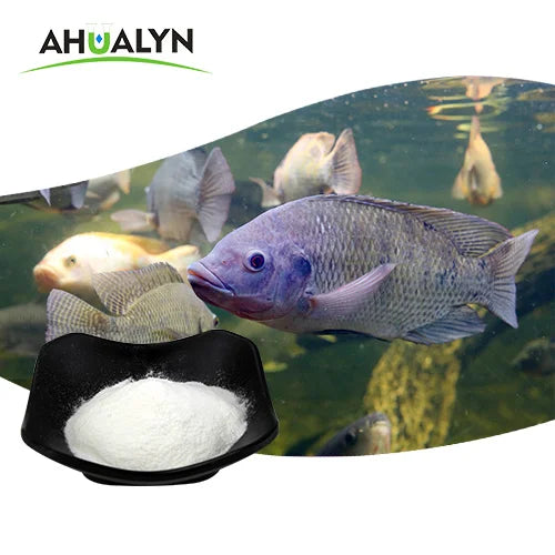 Collagen Factory Fish Collagen Peptide Powder Fish Collagen Peptide  ��� 99% Purity  CAS 9064-67-9