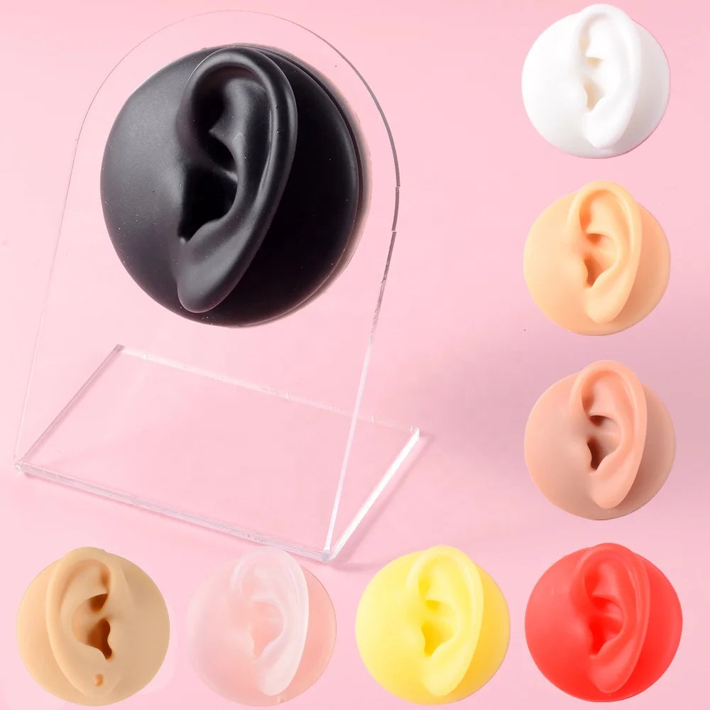 Puncture Practice Body Piercing Jewelry Simulation Human Silicone Ear Model Display Stand Use Tattoo Display Tool SHUIMEI Brand