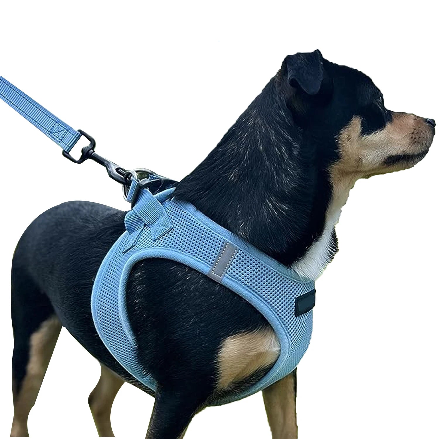 Dog Harness Adjustable Reflective Solid Rubber Leather & Nylon Mesh Walking Leash for Small Medium Dogs