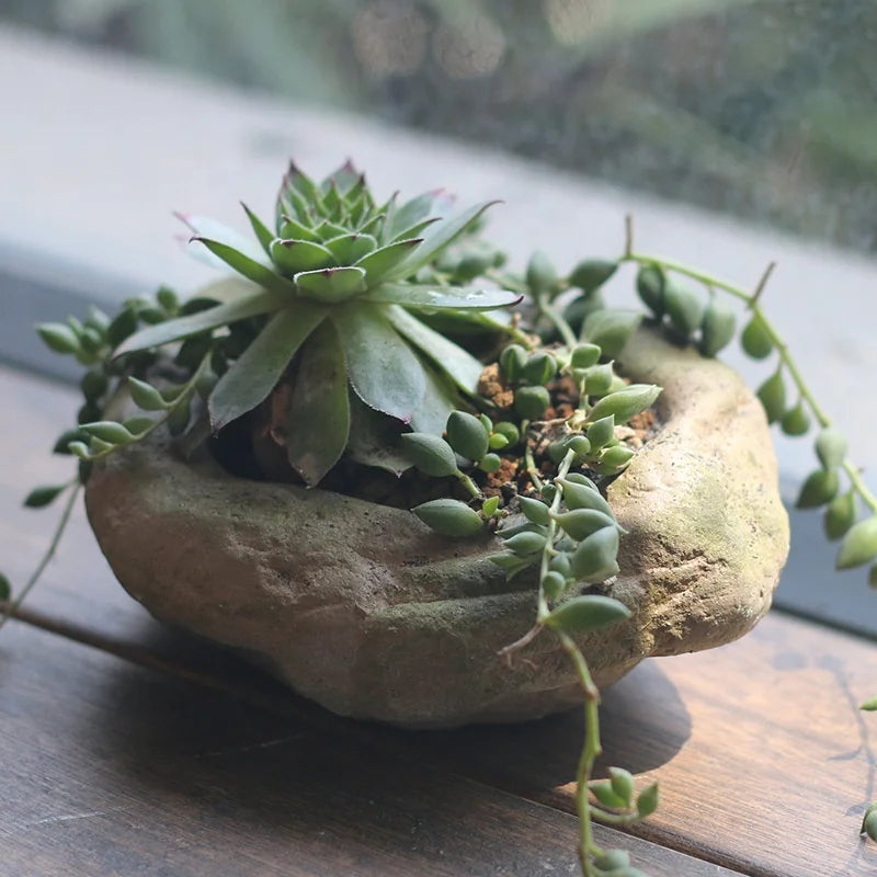 Personality Creative Various Styles Cement Stone Shape Micro-Landscape Succulents Bonsai Planter Flower Pots for Garden Deco