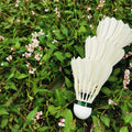 Factory Supply Good Stability Top Grade Goose Feather Natural Feather Badminton Shuttlecock in Dmantis Brand D45