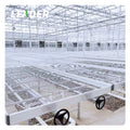 ABS Seedbed Trays Aluminum Frame Galvanized Leg Rolling Bench for Hydroponics Growing