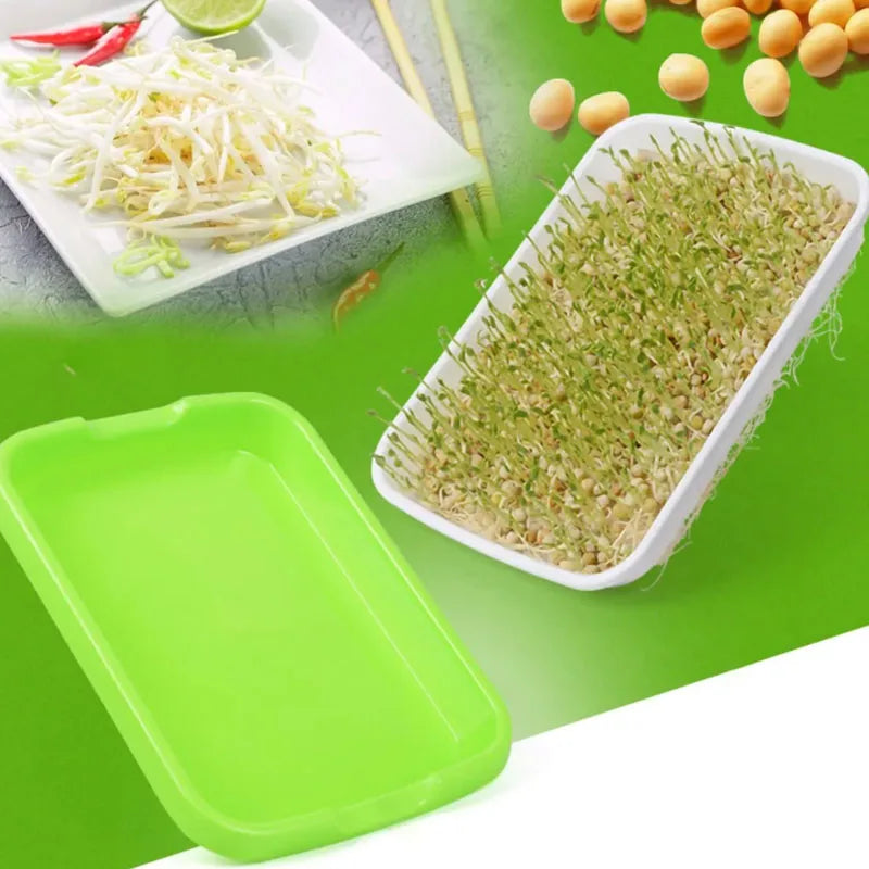 1 Pcs Germination Tray Seedling Tray for Wheatgrass Seed Planting Soilless Cultivation Pot Shade Sails & Nets Product Category