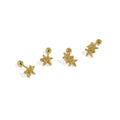 WMEF622 Helix Cartilage Conch Tragus Star Ball Screw Backs Stud Earrings 18K Gold Silver S925 Sterling Silver for Parties Gifts