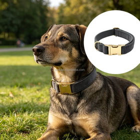 Wholesale Luxury Dark Grey Velvet Dog Collar with Metal Buckle Laser Custom logo Design in Stock Fast Delivery Personal logo
