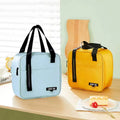 Portable Durable 2 Persons Lunch Bag for Unisex Simple Waterproof Insulated Large Adult Cooler Tote Bag